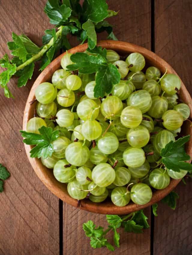 1371013 amla 10