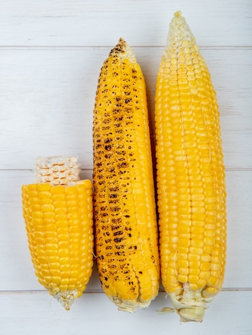 1371229 Corn 11