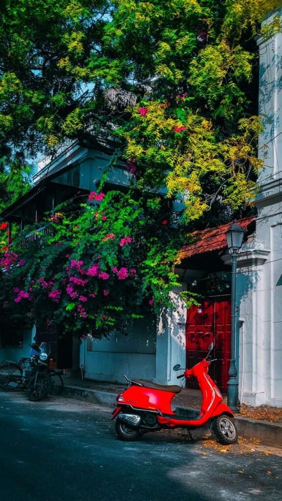 1371295 Streets of Pondicherry