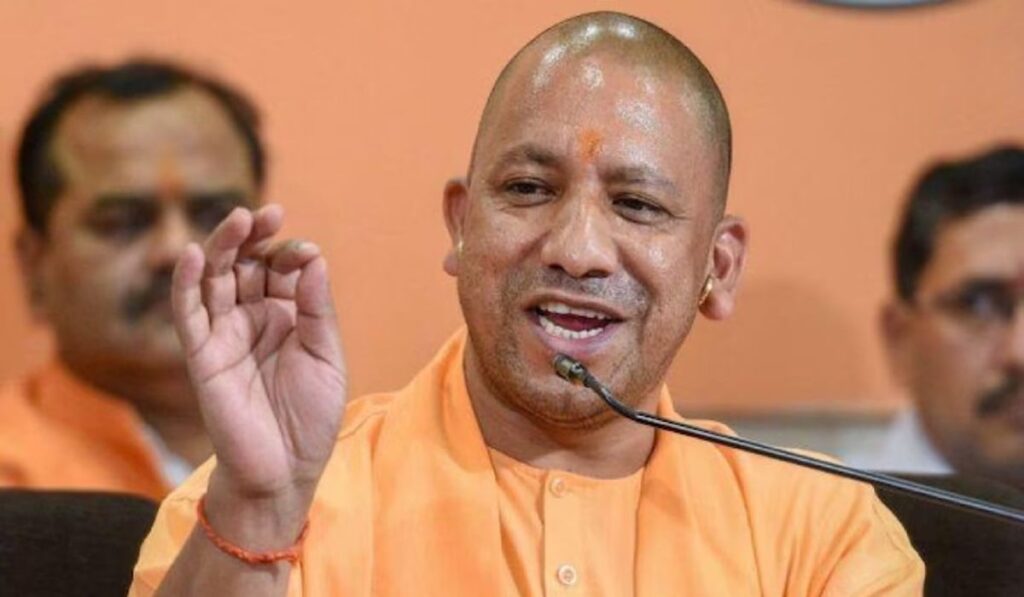 1371599 yogi news 1