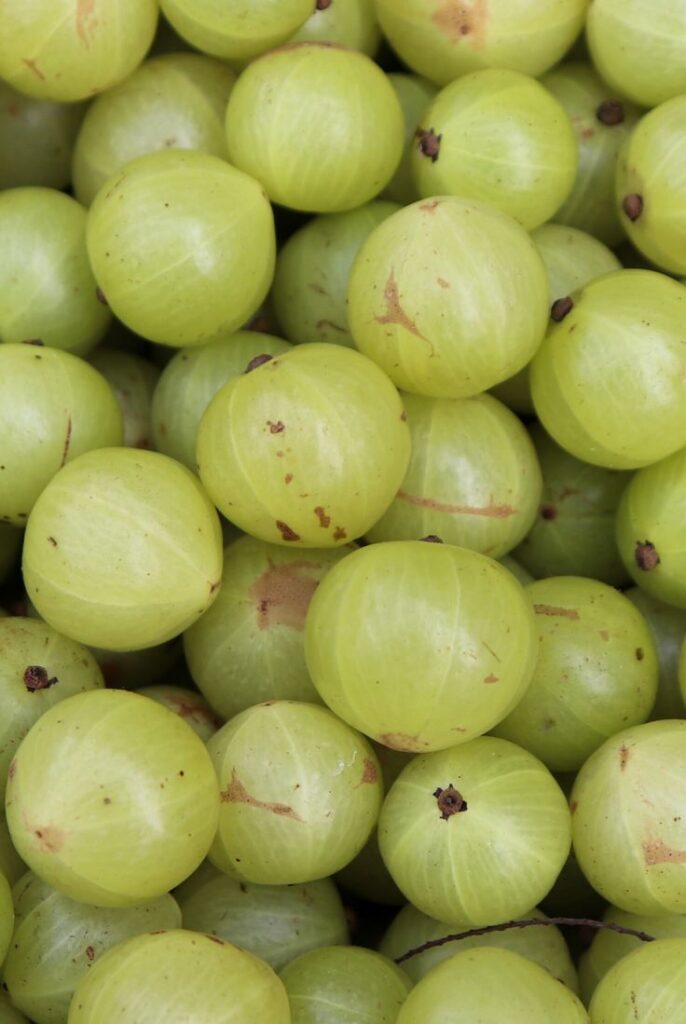 1371637 Amla Benefits Healthier Steps