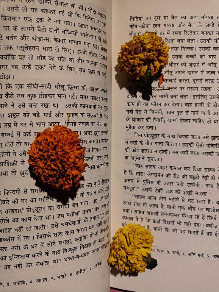 1372193 Hindi Literature