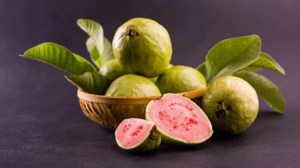 1372579 30122022 guava23276993