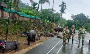 BSF ने बांग्लादेश सीमा पर किया 31.13 लाख रुपये का तस्करी का सामान जब्त