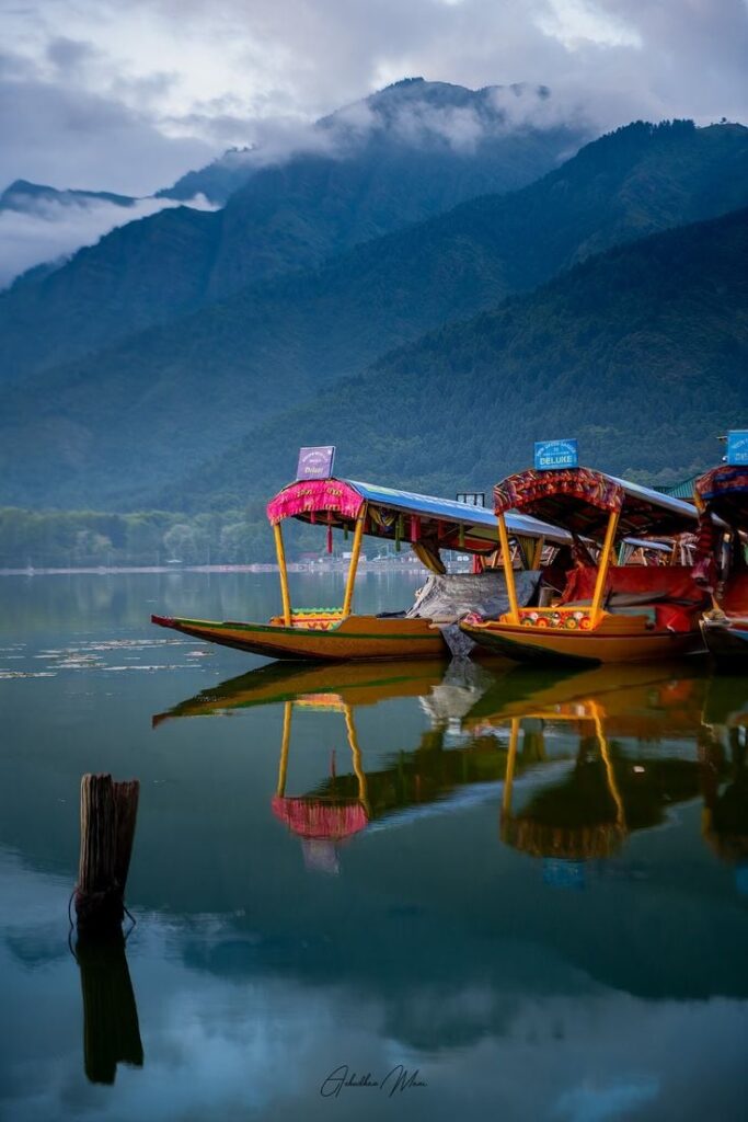 1373181 Shikaras are iconic wooden boats that gracefully navigate Dal Lake in Srinagar India offering a unique and picturesque experience