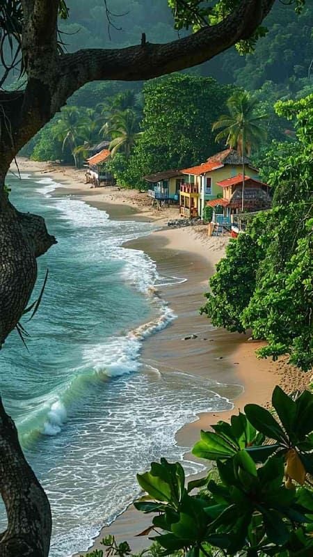 1373221 8 Must Visit Places In Goa During Monsoons 2