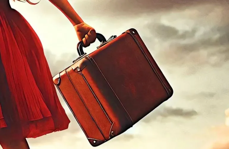 1373581 suitcase