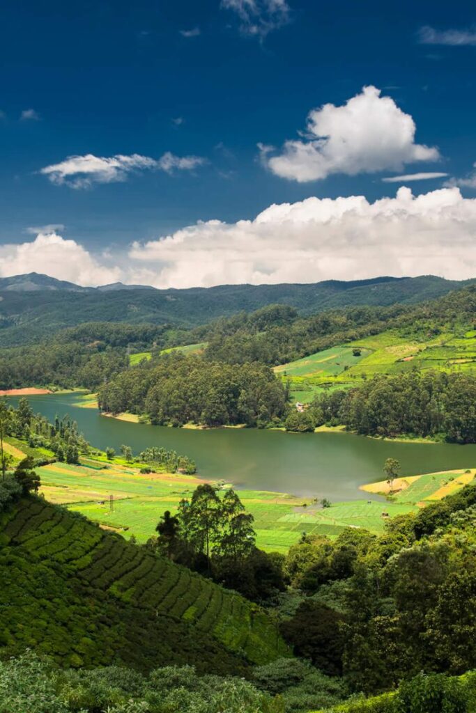 1373823 Queen Of Hill Stations Ooty