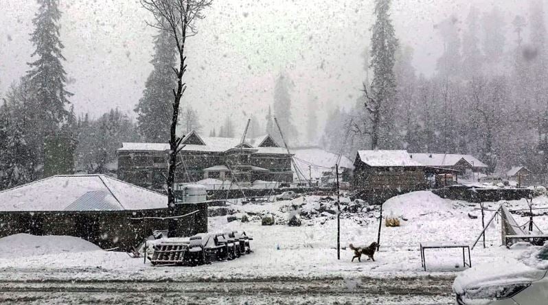 1373967 snow 3
