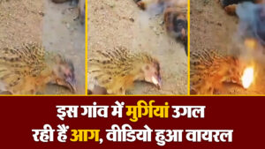 Viral Video: इस गांव में मुर्गियां उगल रही हैं आग, वीडियो हुआ वायरल