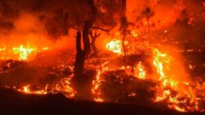 अर्जेंटीना के जंगल में लगी भीषण आग, राष्ट्रीय उद्यान की 1400 हेक्टेयर जमीन नष्ट