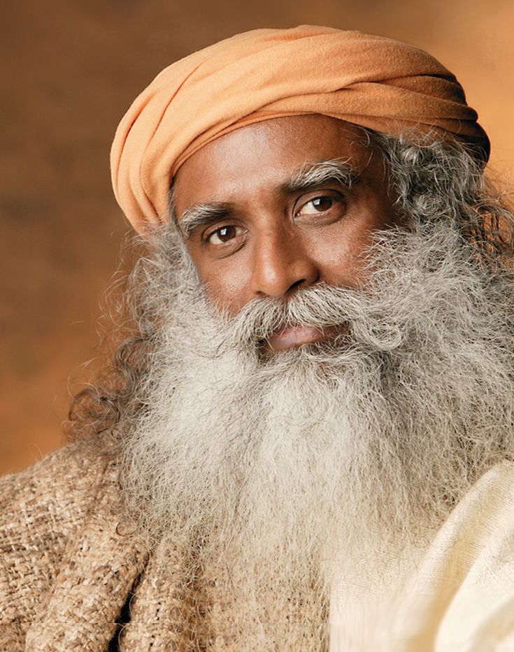 1375633 Sadhguru Jaggi Vasudev 3