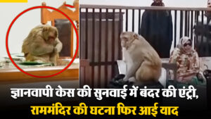 Viral Video: ज्ञानवापी केस की सुनवाई में बंदर की एंट्री, राममंदिर की घटना फिर आई याद