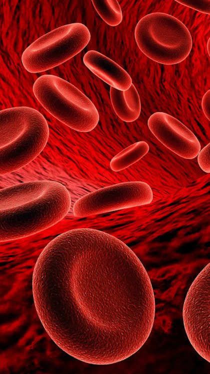 1376163 10 reasons why your body desperately needs Vitamin B12