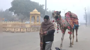 राजस्थान के 8 जिलों में शीतलहर का अलर्ट, स्कूलों में छुट्टी की घोषणा