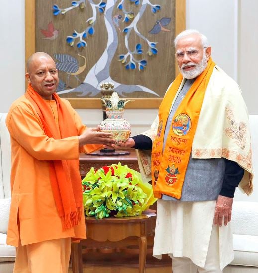 1376575 YOGI