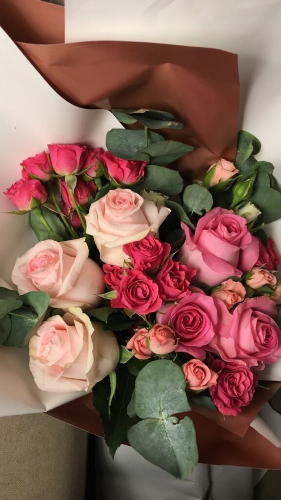 1377555 rose day 3