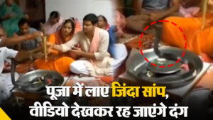 Viral Video: पूजा में लाए जिंदा सांप, वीडियो देखकर रह जाएंगे दंग