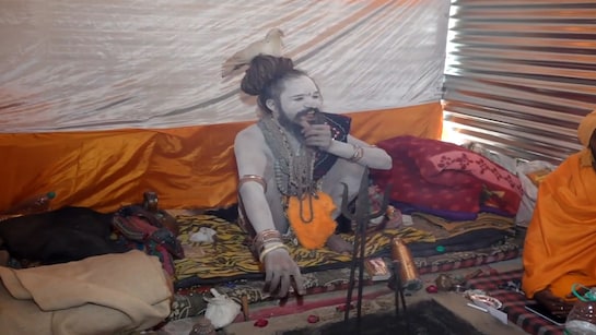 1378041 kabutar baba