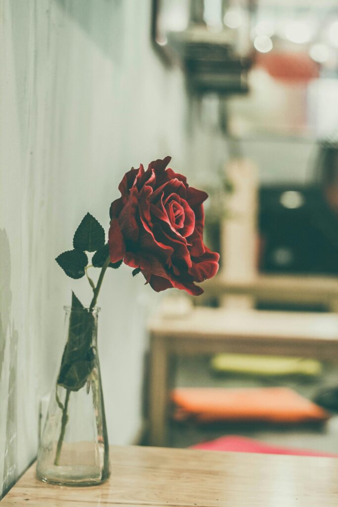 1378431 pexels nguyendesigner 234781 1 scaled