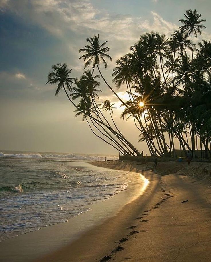 1378605 goa
