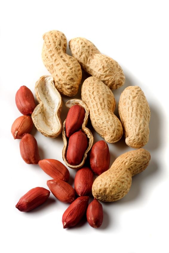1380801 Food Allergies Causes Symptoms Treatment ACAAI Public Website 1