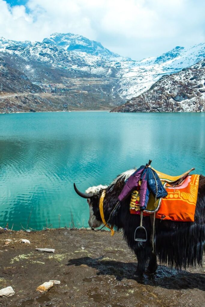 1381107 Gorgeous Tsangmo Lake in Sikkim India 1