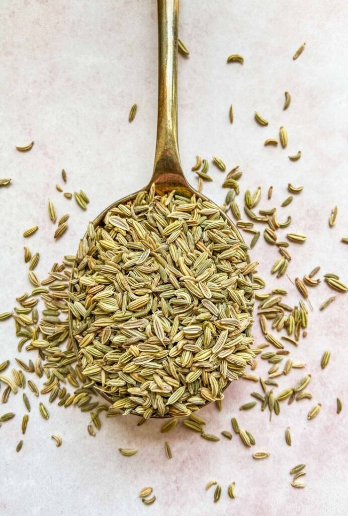 1381151 How to Use Fennel Seeds