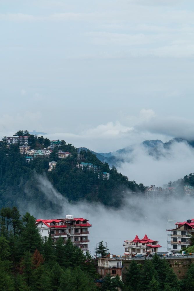 1381369 SHIMLA 1