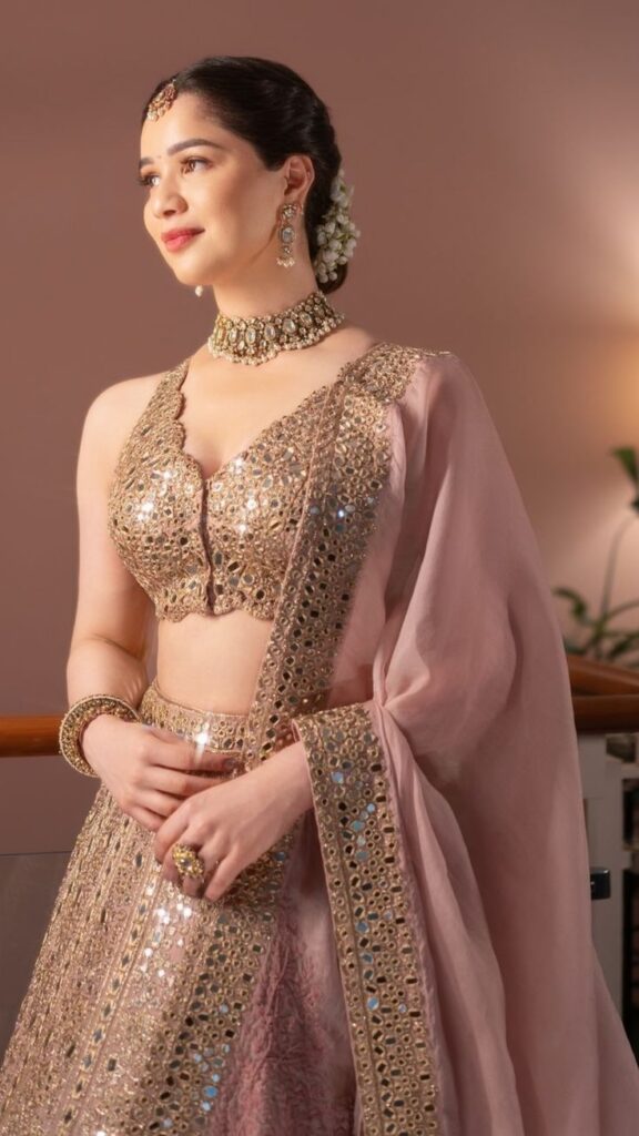 1381515 Sara Tendulkar 3