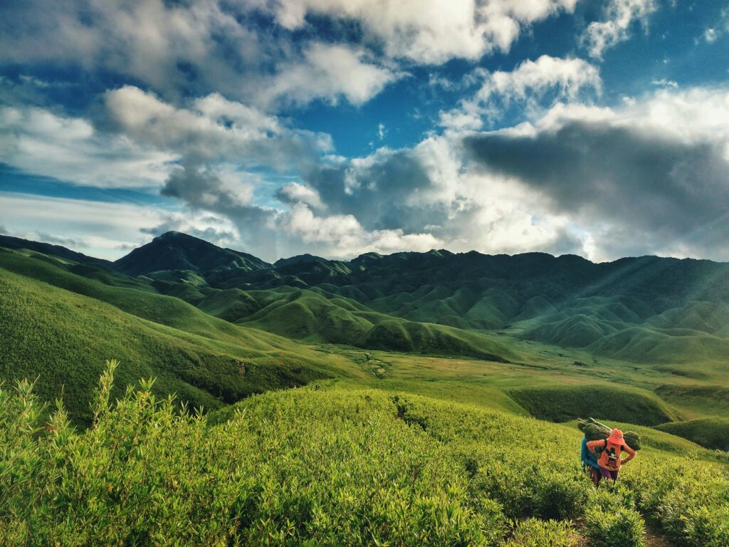 1381569 2nagaland greenery