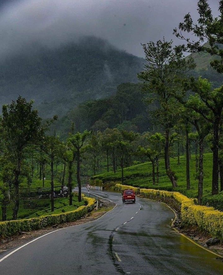 1383347 Siliguri To Kurseong Way