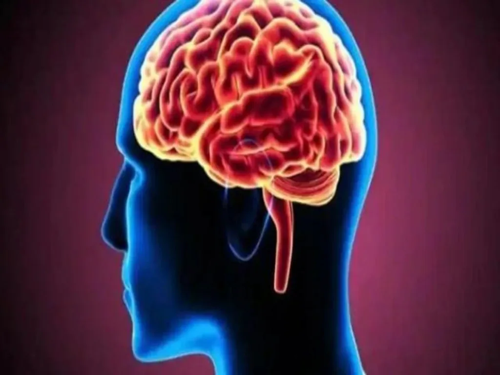 1383799 symptomsofbrainswellingfoundinpeoplewhodiedofcovid19study1624464654