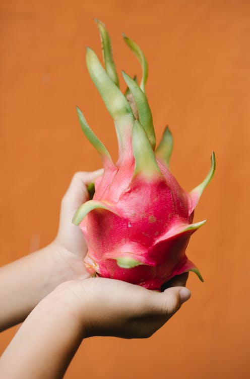 1384401 Dragon Fruit 5