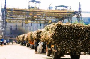 भारत के चीनी उत्पादन में भारी गिरावट, 27 MMT से नीचे जाने की उम्मीद