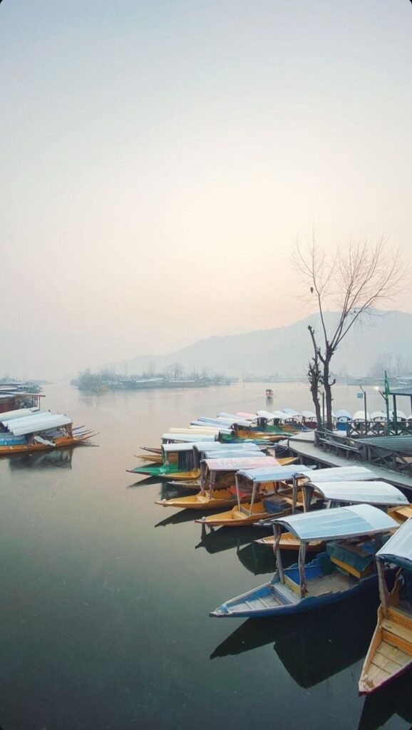 1384611 kashmir