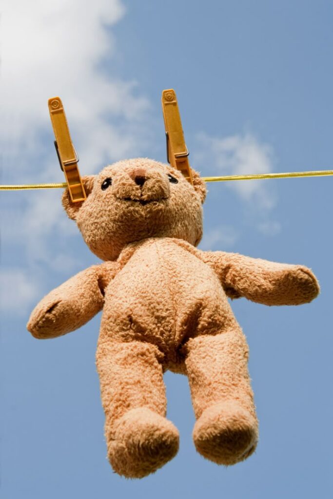 1384913 dirty teddy bear 1