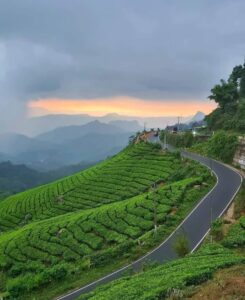 South Indian Destinations: प्रकृति प्रेमियों के लिए साउथ इंडिया की 8 बेहतरीन डेस्टिनेशन