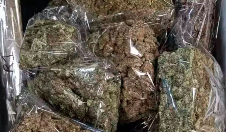 1385697 ganja