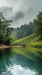 Northeast Indian States: वाकई घूमने लायक हैं नॉर्थ इस्ट इंडिया के ये 8 खूबसूरत राज्य