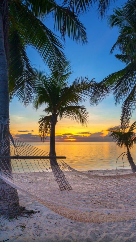1385955 Sunset in the Fiji Islands
