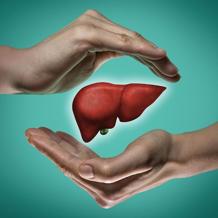 1386234 A Growing Health Concern The Causes and Treatments for Fatty Liver Disease
