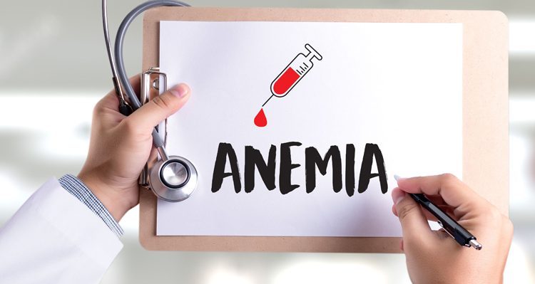 1386273 anaemia e1721996111820