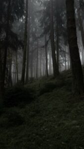 Dangerous Forests: दुनिया के सबसे भयानक जंगल, सिर्फ नाम से कांपते हैं लोग