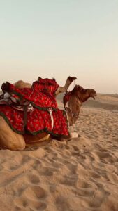 Adventurous Deserts: रोमांच प्रेमियों के लिए दुनिया के 6 अद्भुत रेगिस्तान