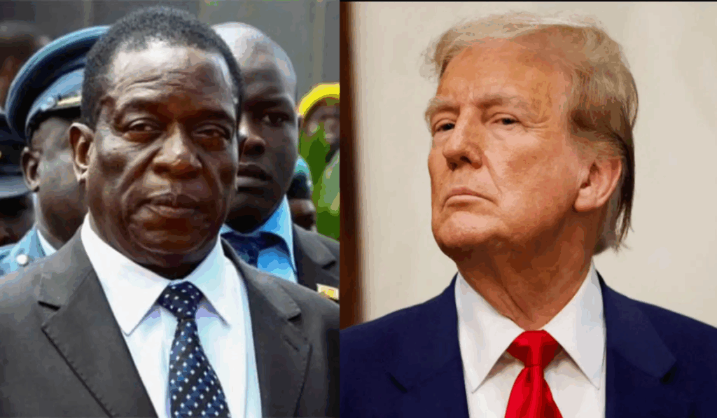 1388080 Emmerson Mnangagwa and Trump