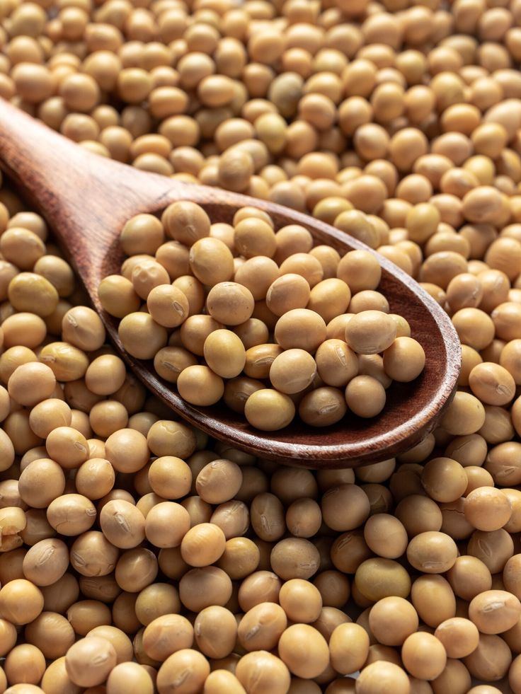 1388234 Soybean