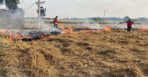 सुप्रीम कोर्ट की आलोचना के बावजूद सामने आईं पंजाब, हरियाणा में पराली जलाने की घटनाएं