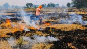 करनाल: गेहूं कटाई के बाद अवशेष जलाने पर 30 हजार रुपये तक का जुर्माना