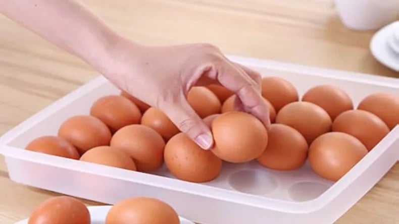 1389786 Eggs